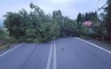Wichura powaliła drzewo na drogę Witanowice-Wyźrał